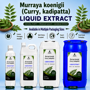 Extracto Líquido de Murraya Koenigii, Suplemento Herbal de Hoja de Curry, Grado Alimenticio Natural, Empaque a Granel - Product Image 1