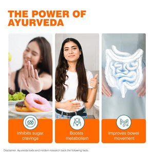 Tabletas Herbales Adelgazantes Ayurslim, Cultivo Silvestre, Certificación GMP, Grado Alimenticio, Empaque en Botella, Exportador de Productos para la Salud de la India - Product Image 3