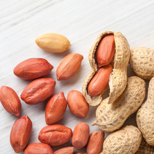 Vente en gros de cacahuètes de qualité supérieure, en vrac, prêtes à être expédiées, exportation mondiale - Product Image 5