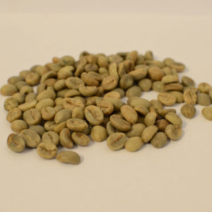 Café Vert Arabica Certifié USDA, Spécialité, Taille 18, Vietnam, Haute Qualité, Marque TNFOOD, Grade G1/G2, Humidité 12,5%, Direct Usine - Product Image 1