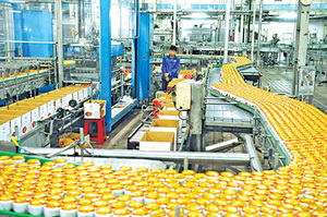 PIÑA CONGELADA EN TROZOS ENTREGA RÁPIDA SUMINISTRO B2B - Product Image 4