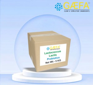 Poudre de probiotiques haute puissance Lactococcus Lactis pour la santé intestinale Fabriqué en Inde (Code 34648) - Product Image 2
