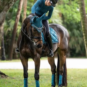 Newest Custom Made Equestrian Equipment Horse Saddle Pad Sets Including Fly Veil Halter & <b>Lead</b> Rope With Matching foam satin - Product Image 2