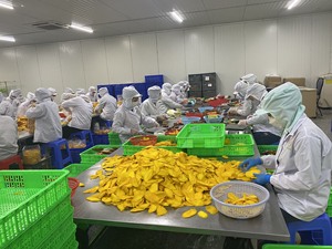 Mango Deshidratado en Rodajas, 100% Natural, Suave, Fresco, Dulce y Delicioso, envasado al Vacío, 12 Meses de Duración, Alta Calidad, Precio Económico - Product Image 6