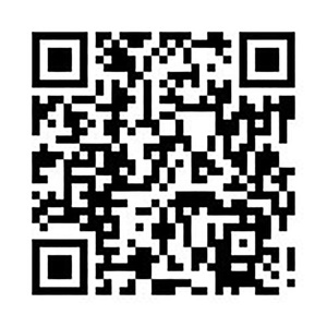 Axial 630V <b>Capacitor</b> - Product Image 6