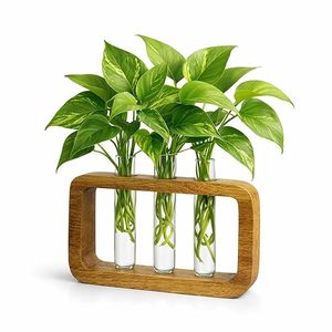 Juego de Jarrones de Bambú, Modernos, con Marco de Madera, para Flores, Terrarios de Agua, Decoración de Mesa, Aniversario, Sala de Estar, Hogar, 8"-12" de Diámetro - Product Image 3