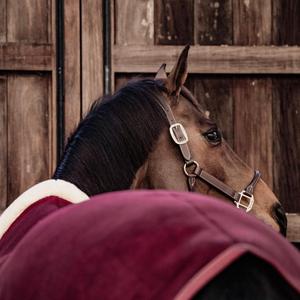 Manta para Caballo de Cuerpo Completo, Material Elástico de Spandex, Duradera, Impermeable, de Nailon y Poliéster, Ligera, para Uso Invernal, con Acero Inoxidable - Product Image 4
