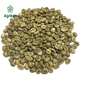 Grano de café verde Robusta de grado superior de alta calidad 100% Natural puro Venta caliente Vietnam Original mejor precio - Product Image 1