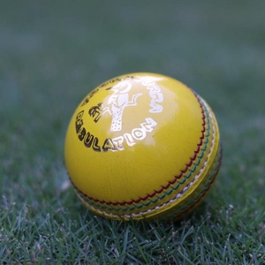 Balles de cricket d'intérieur Kookaburra en cuir de vache de qualité supérieure, personnalisées, 112g, en cuir souple jaune, pour entraînement et matchs. - Product Image 2
