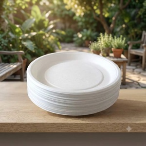 Assiette en bagasse de 6 pouces, 100% compostable, assiette ronde jetable pour collations, desserts et service de fête - Product Image 3