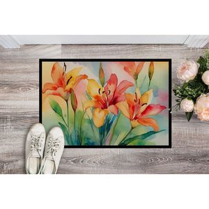 Paillasson aquarelle lys antidérapant lavable à poils bas 24H X 36W tapis d'entrée intérieur et extérieur pour porte d'entrée - Product Image 2