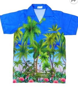 Camisa Clásica Smart Casual para Hombre, Camisa Casual para Hombre, Estilo Elegante, Tacto Suave, Camisa de Lujo para Hombre de Proveedor de India a Precio de Mayoreo - Product Image 4