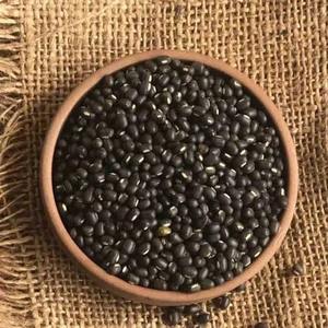 Urad Dal Negro Natural Más Vendido, Rico en Fibra y Proteínas para Cocinar y Uso Comercial, Disponible al Mejor Precio - Product Image 2