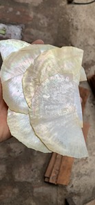 เปลือกหอยมุกธรรมชาติสีขาวขนาด 50*20 มม. สำหรับงานขายส่ง แบบขัดเงา สัมผัสเหมือนจริง เหมาะสำหรับงาน DIY/ธีมนางฟ้า/งานฝีมือ/กล่องเครื่องประดับ - Product Image 6
