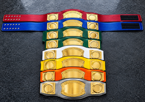 Custom Martial Arts Championship Belt With Logo Personalization Gold And Silver Options Unisex Durable PU Material Brass Plates - Product Image 5