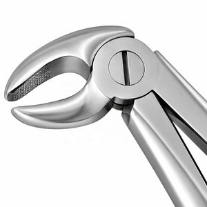 Forceps d'extraction dentaire à motif anglais # 13 forceps d'extraction en acier inoxydable pour les dents du sous-maxillaire (bicuspides) - Product Image 4
