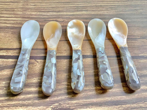 Seashell <b>Spoon</b> With Pearl Effect Made From Natural Shell For <b>Table</b> Decoration Home Styling And Creative Display - Product Image 2