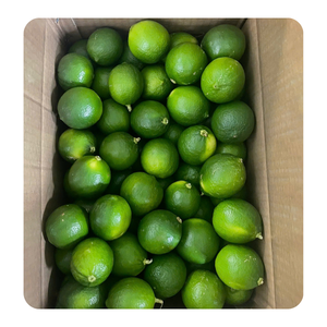 Entrega Rápida, Mejor Calidad, Lima Verde Fresca Sin Semillas de Vietnam |   Alta Calidad |   Precio Competitivo en el Mercado |   Frutas Cítricas Comunes - Product Image 3