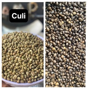 เมล็ดกาแฟโรบัสต้าฮันนี่ ผลผลิตสดใหม่จากเวียดนาม คุณภาพสูง ความเสียหายต่ำ 12.5% ความชื้น กระบวนการธรรมชาติ บรรจุถุง 60 กก. จำหน่ายส่ง - Product Image 5