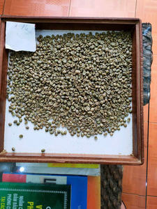 Grains de café Robusta, toutes qualités, prix en gros. Contacter Mme Doris WA +84 35 254 - Product Image 3