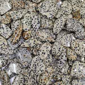 Lote de Cabujones Dálmata Naturales, Lote de Gemas Dálmata al por Mayor, Lote de Gemas Dálmata para la Fabricación de Joyas, Piedra Dálmata - Product Image 4