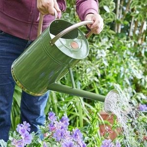 Regadera de metal moderna, diseño resistente y estable con mango cómodo, ideal para el cuidado diario de las plantas y uso decorativo, elegante - Product Image 2