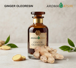 AROMAATSIRI Indonésie Gomme de gingembre 100% pure extraite au CO2, extrait végétal, huile essentielle aromatique épicée pour l'alimentation et les boissons - Product Image 1