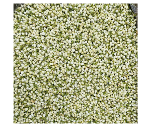 Flores de Jazmín Secas de Calidad de Exportación para la Elaboración de Té - Ingrediente Floral Aromático para Tiendas de Mezclas de Té - Product Image 1