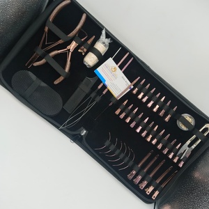 Kit de pinces pour extensions de cheveux en acier inoxydable rose doré, pinces à 2 trous avec clips et outils à boucles - Product Image 5