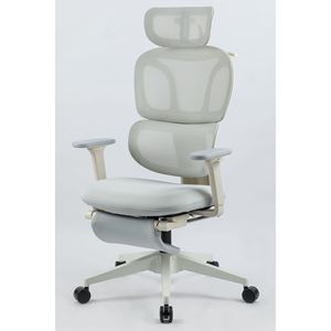 Sedia da Ufficio Ergonomica con Schienale Alto, Supporto Lombare Dinamico, Poggiatesta 2D, Braccioli 2D e Poggiapiedi - Product Image 4