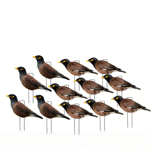 Vente en gros de leurres personnalisés anti-reflet en PP, en forme de silhouette réaliste, imperméables, pour la chasse au myna <span class=keywords><strong>indien</strong></span>, avec support vertical en bois - Product Image 1