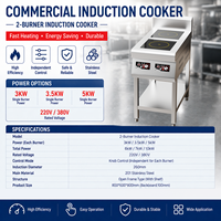 Cuisinière à induction commerciale à 2 brûleurs, cuisinière à induction électrique en acier inoxydable pour restaurant, hôtel, cuisine commerciale