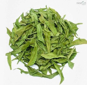 Feuilles de Neem de qualité supérieure pour les soins naturels de la peau, la détoxification et le soutien immunitaire. Achetez du Neem biologique en gros auprès d'un fournisseur indien. - Product Image 1
