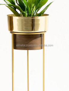 Shiny <b>Gold</b> Iron <b>Planter</b> for home garden and fully customizable. - Product Image 2