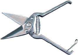 Coupe-ongles pour chevaux et coupe-ongles pour pieds, en acier inoxydable, durable et réutilisable - Product Image 3