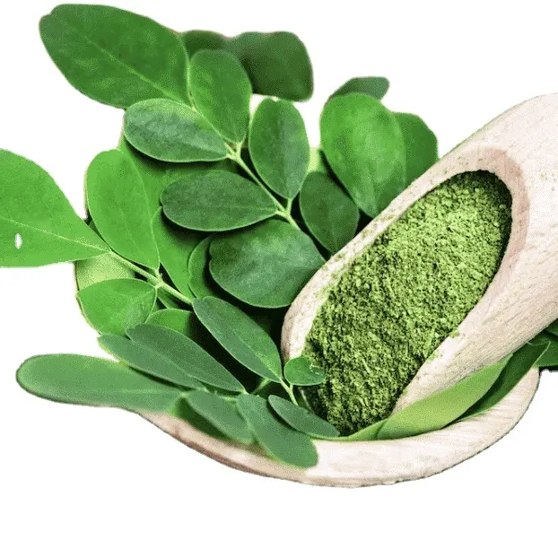 Vente en gros de feuilles de moringa en poudre grande quantité pour l'exportation du Vietnam/Supplément d'extrait de poudre de moringa biologique de haute qualité