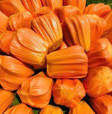 ผลไม้แช่แข็ง IQF ลูกขนุน รสหวาน หอม อร่อย ผลไม้เมืองร้อน ผู้ส่งออกจากเวียดนาม - Product Image 3