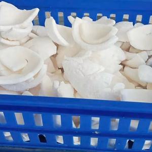 Contenido de aceite blanco Natural Premium cortado 1x5cm tiras de carne de coco IQF fruta congelada para sopa de curry cocina asiática para servicio de alimentos - Product Image 2