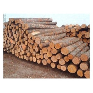 Madera de Troncos de Primera Calidad para Construcción, Fabricación de Muebles y Aplicaciones Industriales de Procesamiento de Madera - Product Image 2