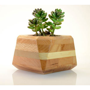 Pot à succulentes carré en bois artisanal, moderne, en bois de récupération, finition naturelle, grain unique, décoration de bureau intérieure, bon prix - Product Image 6