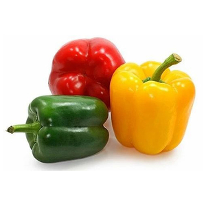 พริกหยวกสีสด/พริกหวาน - Product Image 2