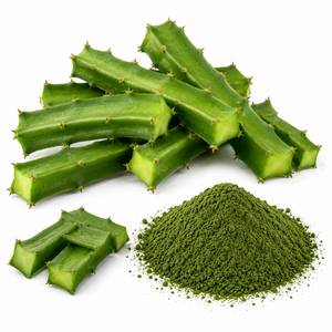 Fabricant professionnel d'extraits végétaux, poudre d'extrait de Cissus Quadrangularis, ingrédient premium pour les compléments alimentaires pour la santé des os, OEM - Product Image 6
