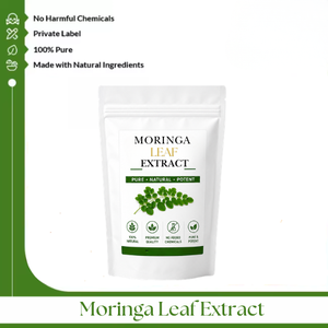 Extracto de Hoja de Moringa – Extracto Botánico Natural de Primera Calidad para Fabricación de Cosméticos, Cuidado Personal y Venta al por Mayor a Nivel Mundial - Product Image 1