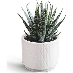 Vaso in Ceramica da 6,7 Pollici ad Alto Potenziale Decorativo per Casa, Ufficio, Scrivania, Bagno, Scaffale Boho - Pianta Artificiale di Aloe Succulenta - Product Image 1