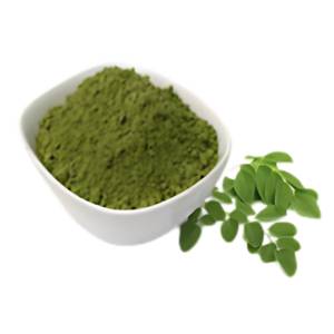 Fabricant d'extrait de Moringa Oleifera, fournisseur en gros de poudre d'extrait naturel de Moringa Oleifera - Product Image 2