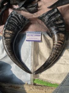 Water Buffalo Polished Horn Pair Wall Decor <b>Art</b> Deco Design <b>Large</b> 10" to 18" Inches for Wedding Birthday Anniversary - Product Image 3