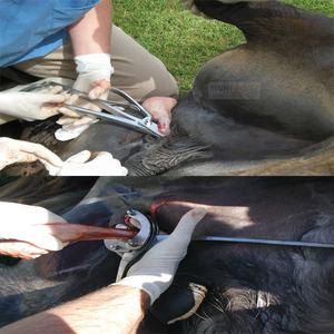 Qualité supérieure Serra Emasculator Serra Emasculator Poignée Coudée Sans Cliquet Concassage & Découpe Emasculator Pince Serra - Product Image 3