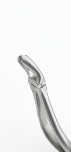 Pinzas de Extracción Dental Rectas Mate Clase I – Alicates de Extracción de Dientes de Acero Inoxidable Quirúrgico para Uso Profesional - Product Image 3