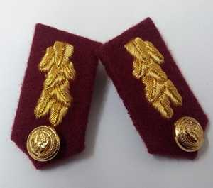 Botones de Emiratos Árabes Unidos con Detalle de Hoja Plateada para Cuellos de Gorgetas - Product Image 4