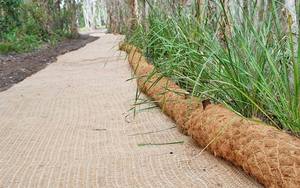 High Quality COIR GEOTEX LOGS FROM INDIA - Product Image 2